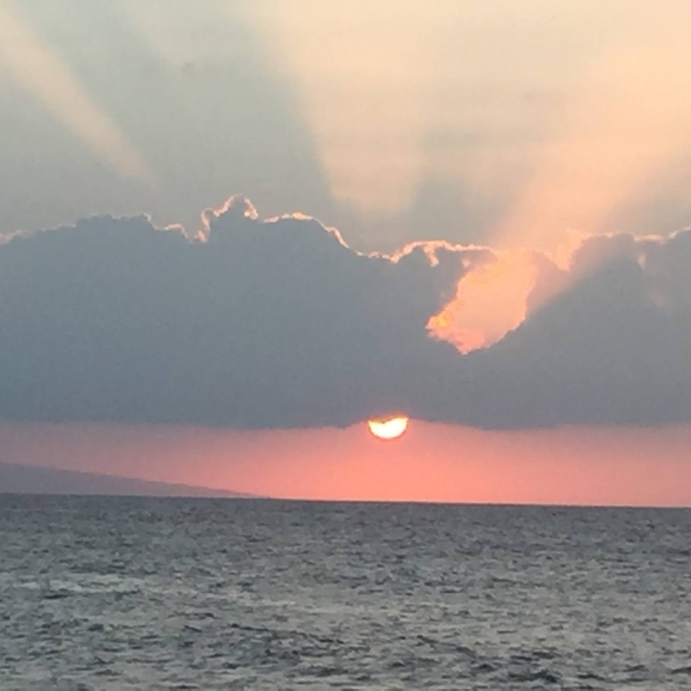 Meet your Posher, Glenda